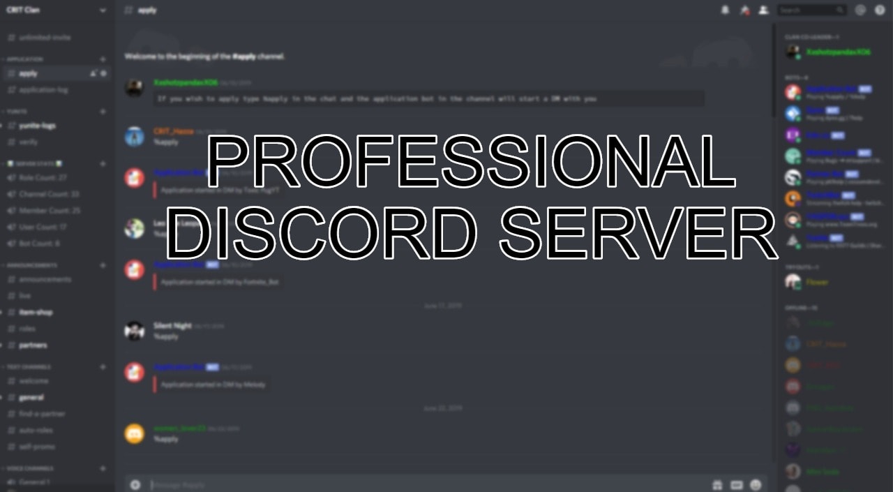 Make You A Professional Discord Server By Xxshotzpandaxx