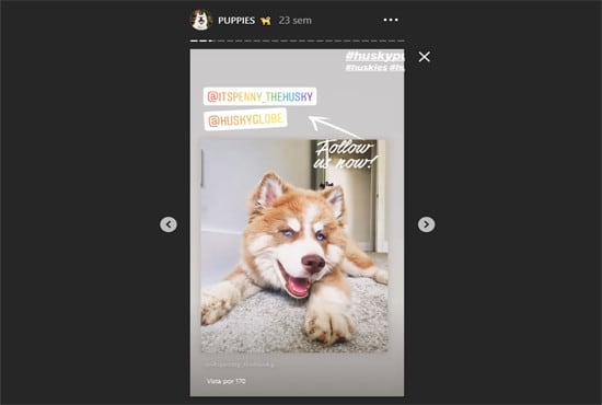 Give Promotion Shoutout On 14 2k Husky On Instagram By Vikashaydurova Fiverr Best husky hashtags popular on instagram, twitter, facebook, tumblr the number after hashtag represents the number of instagram posts for that hashtag. give promotion shoutout on 14 2k husky