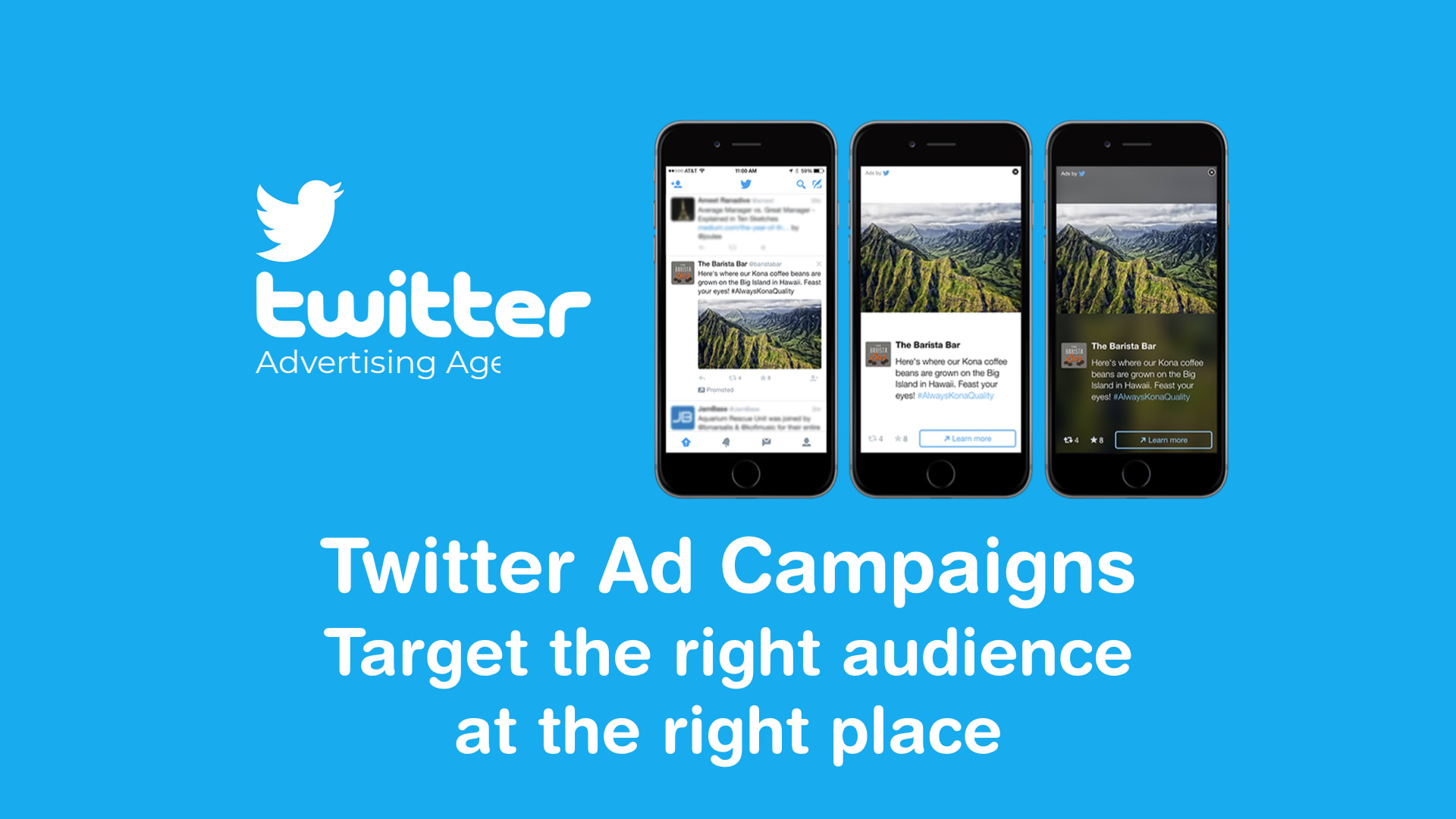 Richten Sie erfolgreiche Twitter-Anzeigenkampagnen ein und verwalten Sie sie