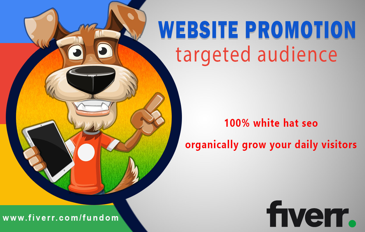 Promote your website, blog, online store to niche target audience by Fundom  | Fiverr