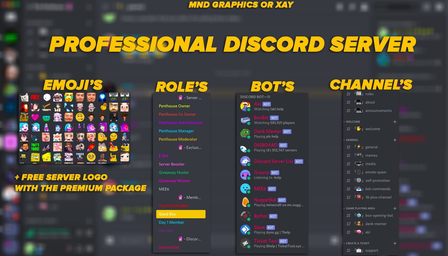 Make You Are Professional And Fun Discord Server By Mndgraphics