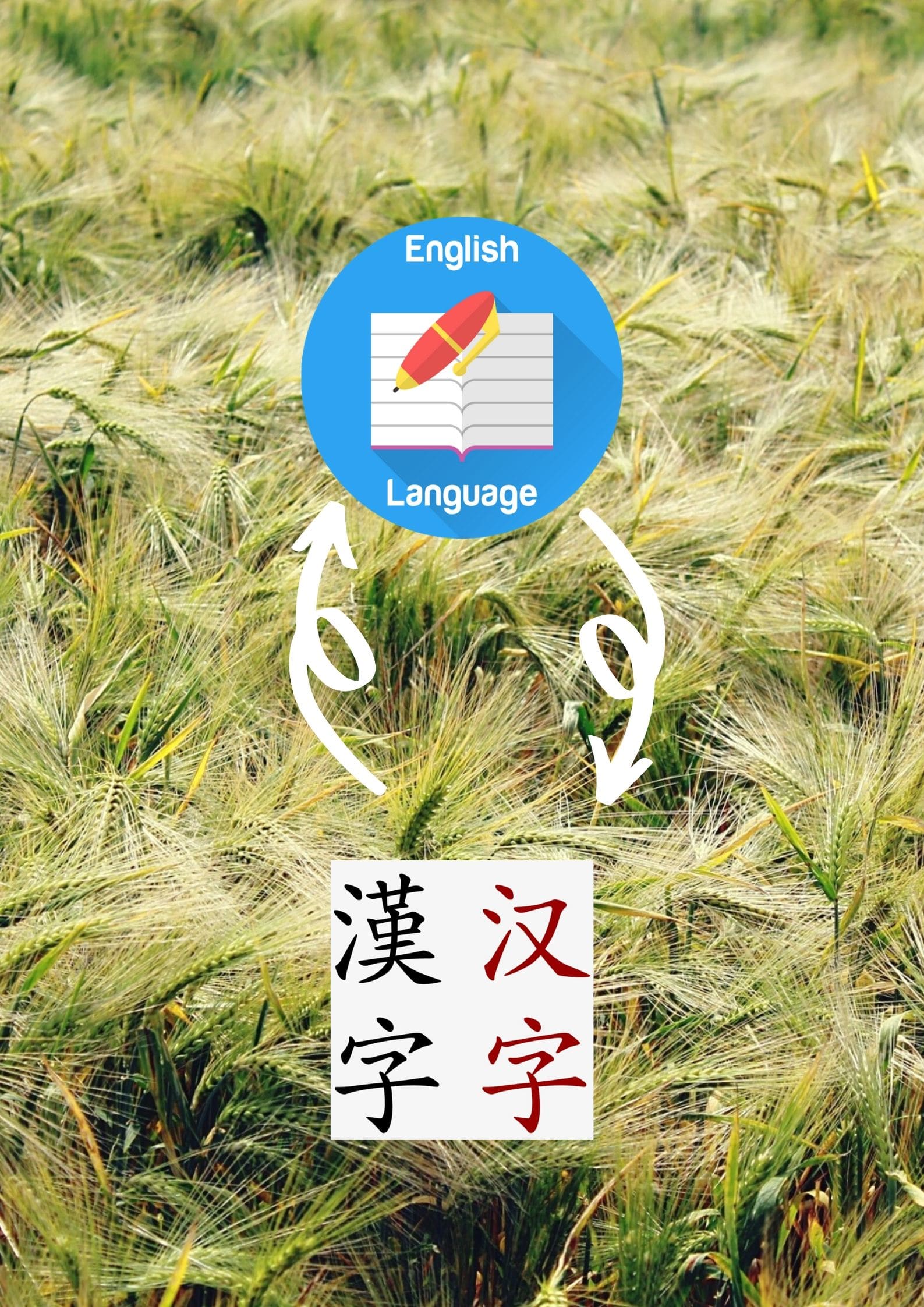 Translate English To Chinese By Thianhooi Fiverr