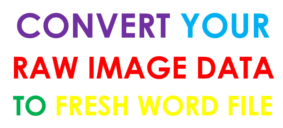 Best Data Converter From Image To Word By Sahildembla1 Fiverr