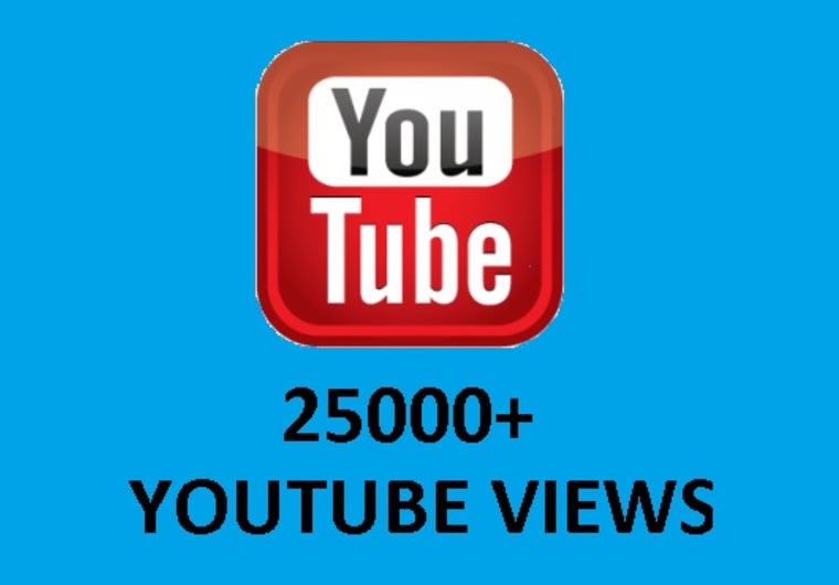 Give You Youtube Views Likes Favorites 40 Subscribers By Diego13 Fiverr