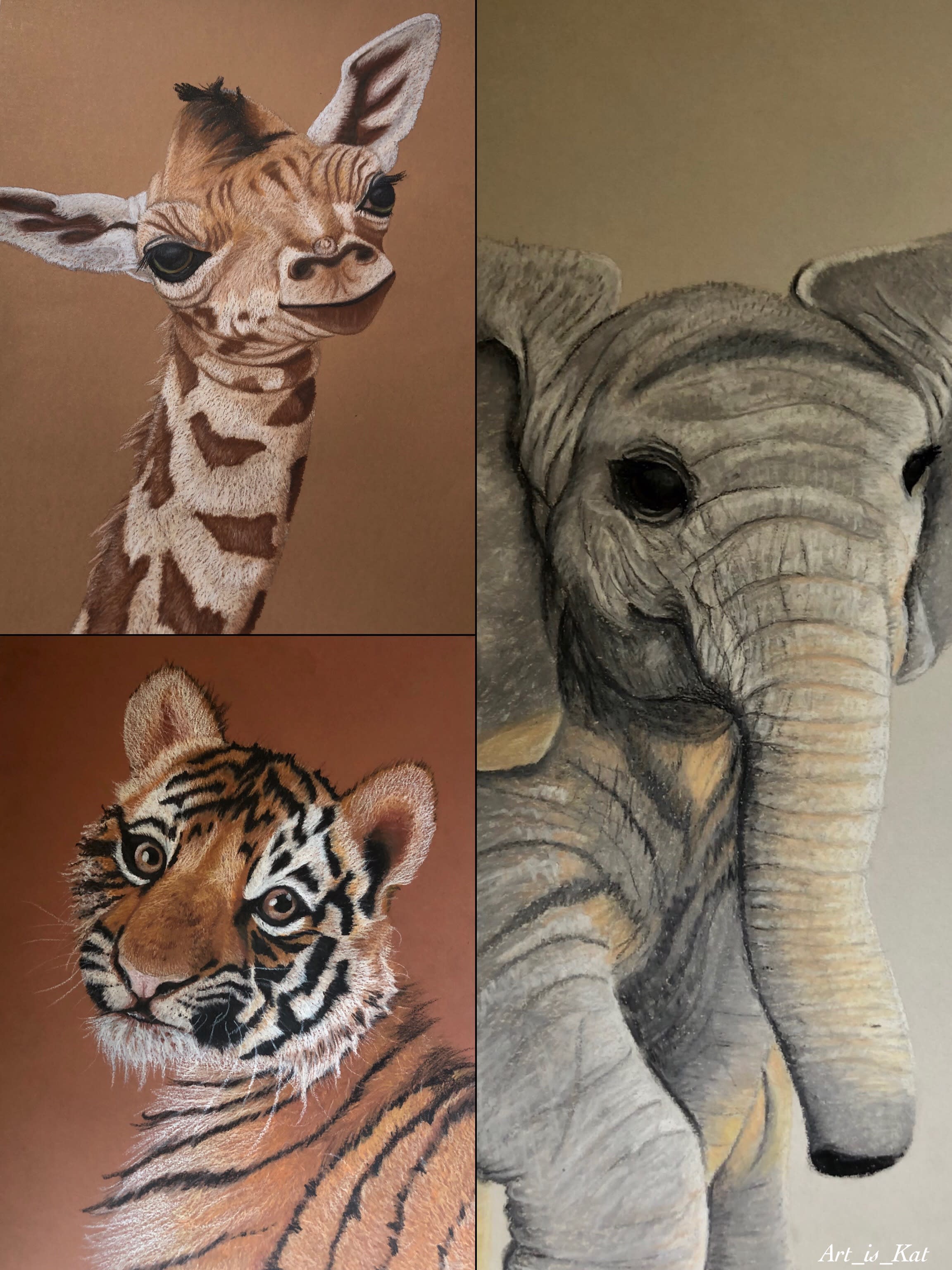 Draw your pet or any animal in oil pastel by Katskustoms | Fiverr