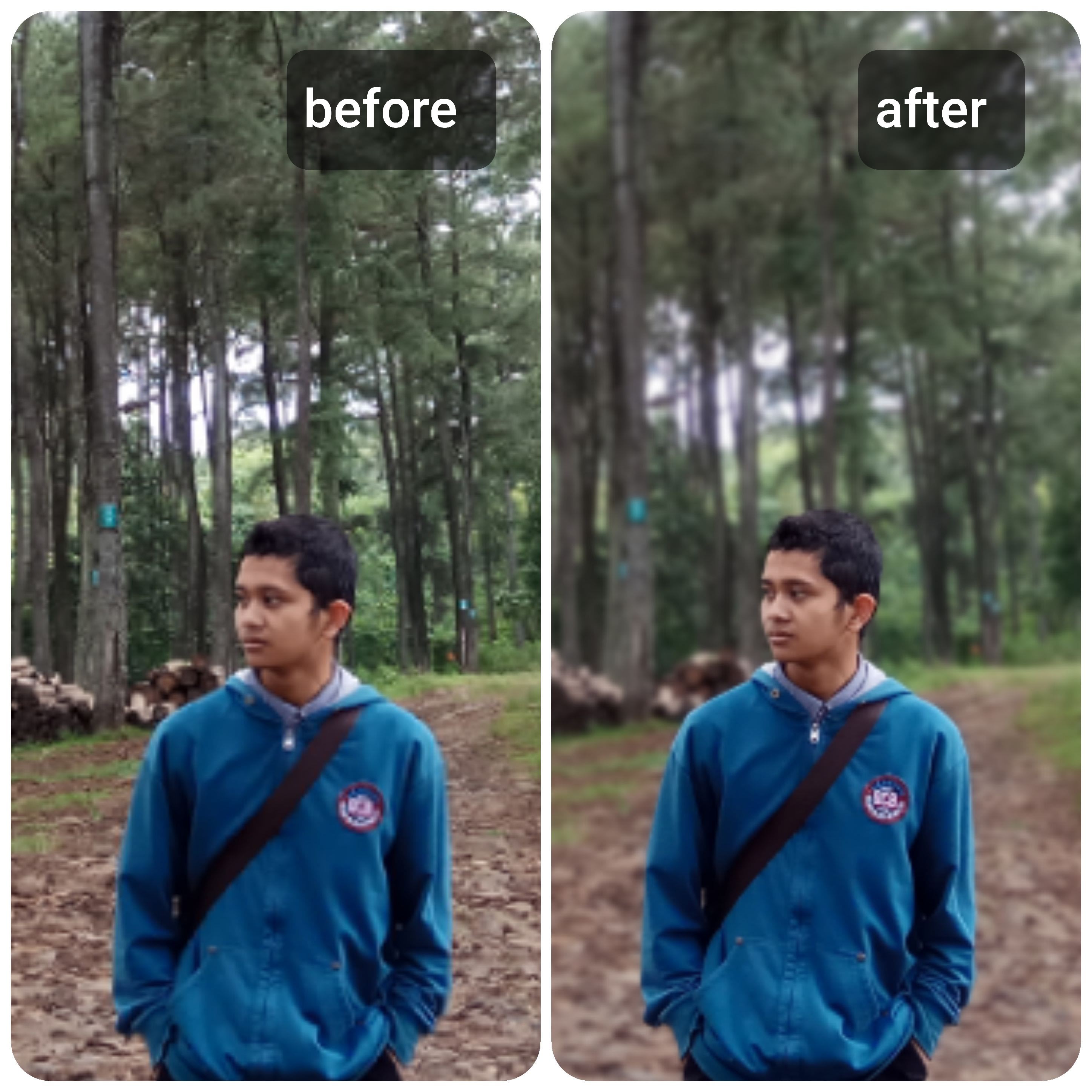 Edit your photo to blur background or bokeh by Raito_kr | Fiverr