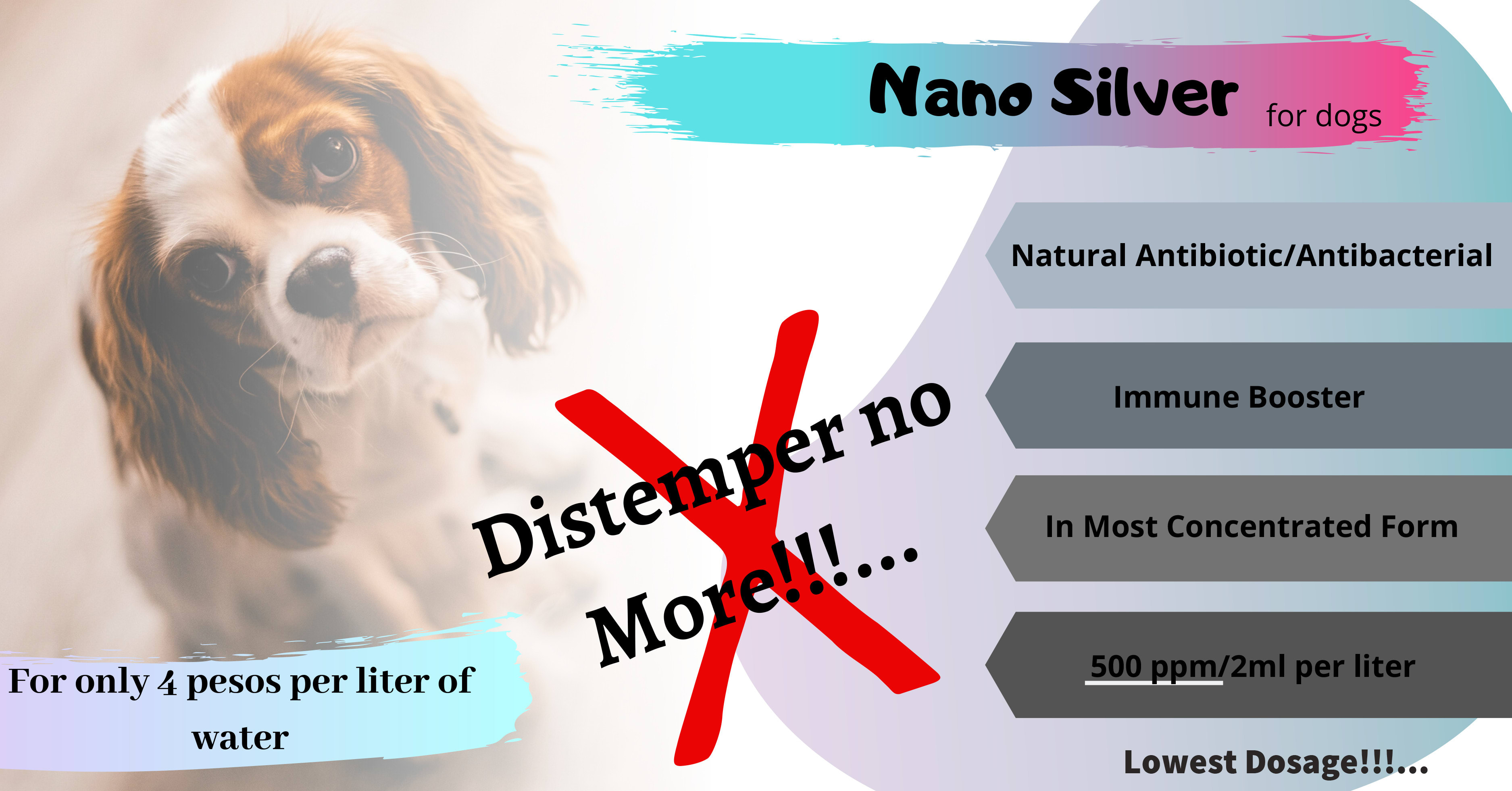 Nano silver outlet for dogs distemper