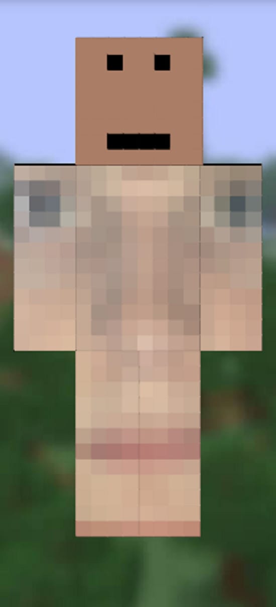 make a minecraft skin of your face