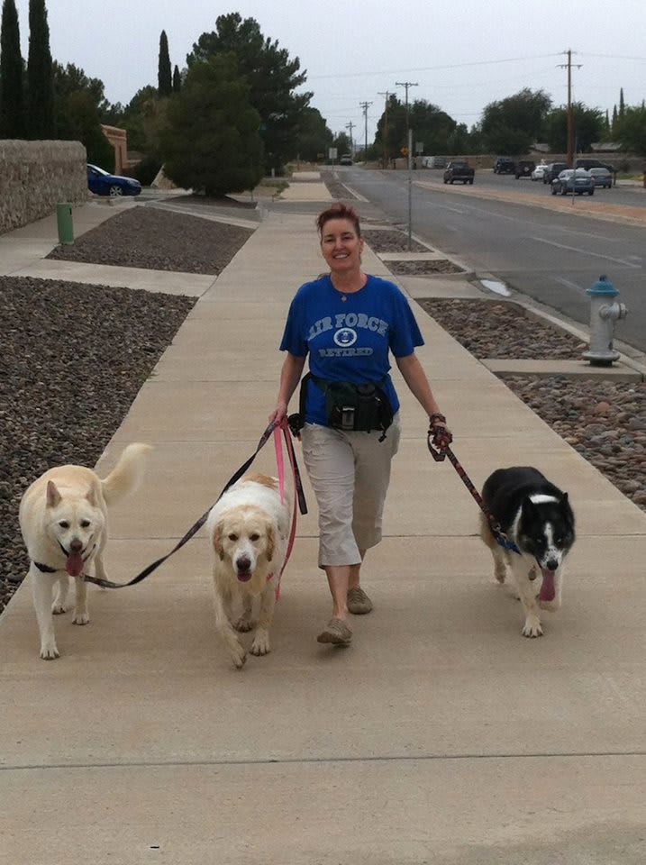 certified professional dog trainer