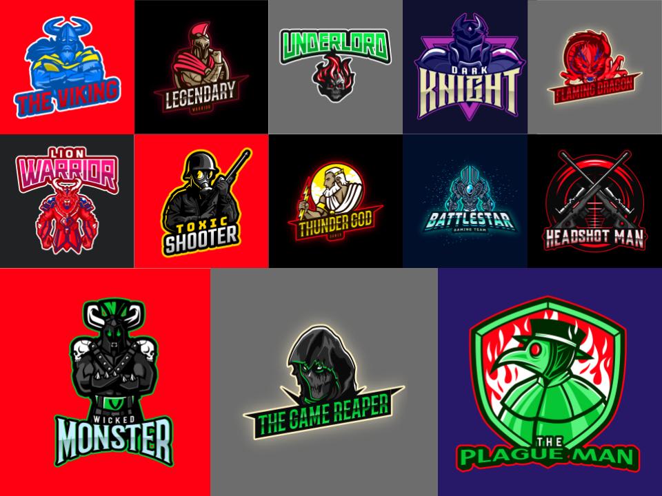 Make a quality gaming logo for a low price by Braydenmooney | Fiverr