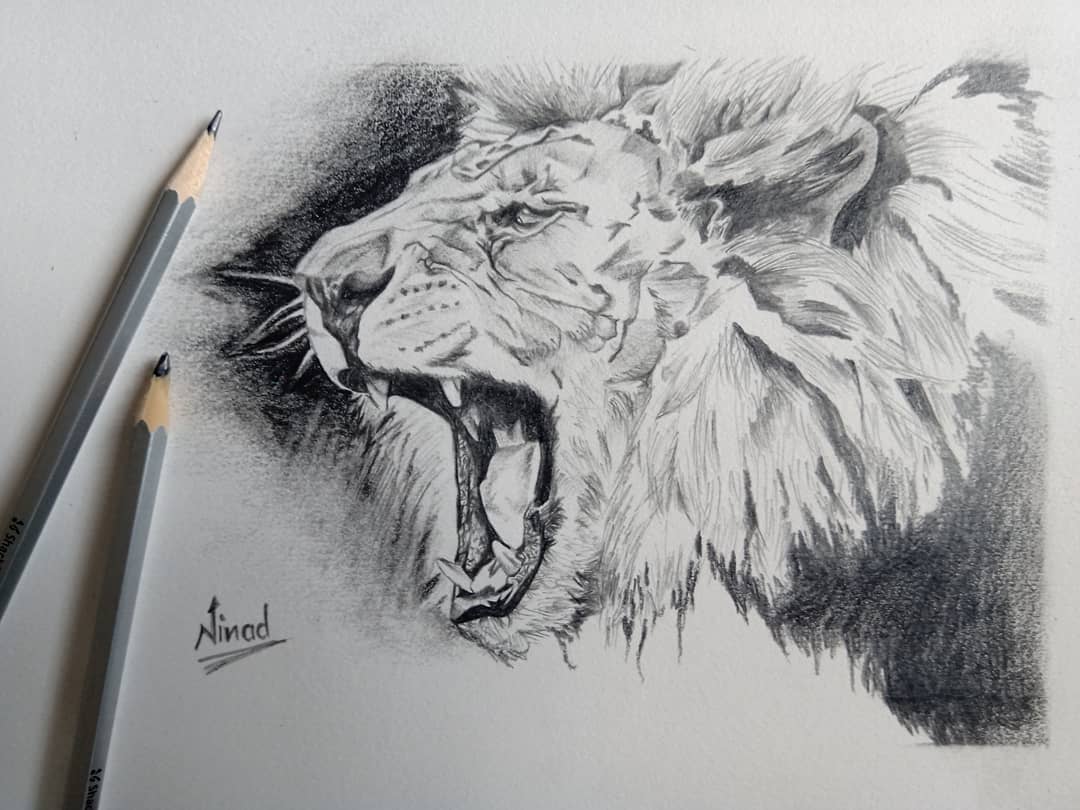 Custom Hyper-Realistic Animal deals Drawings