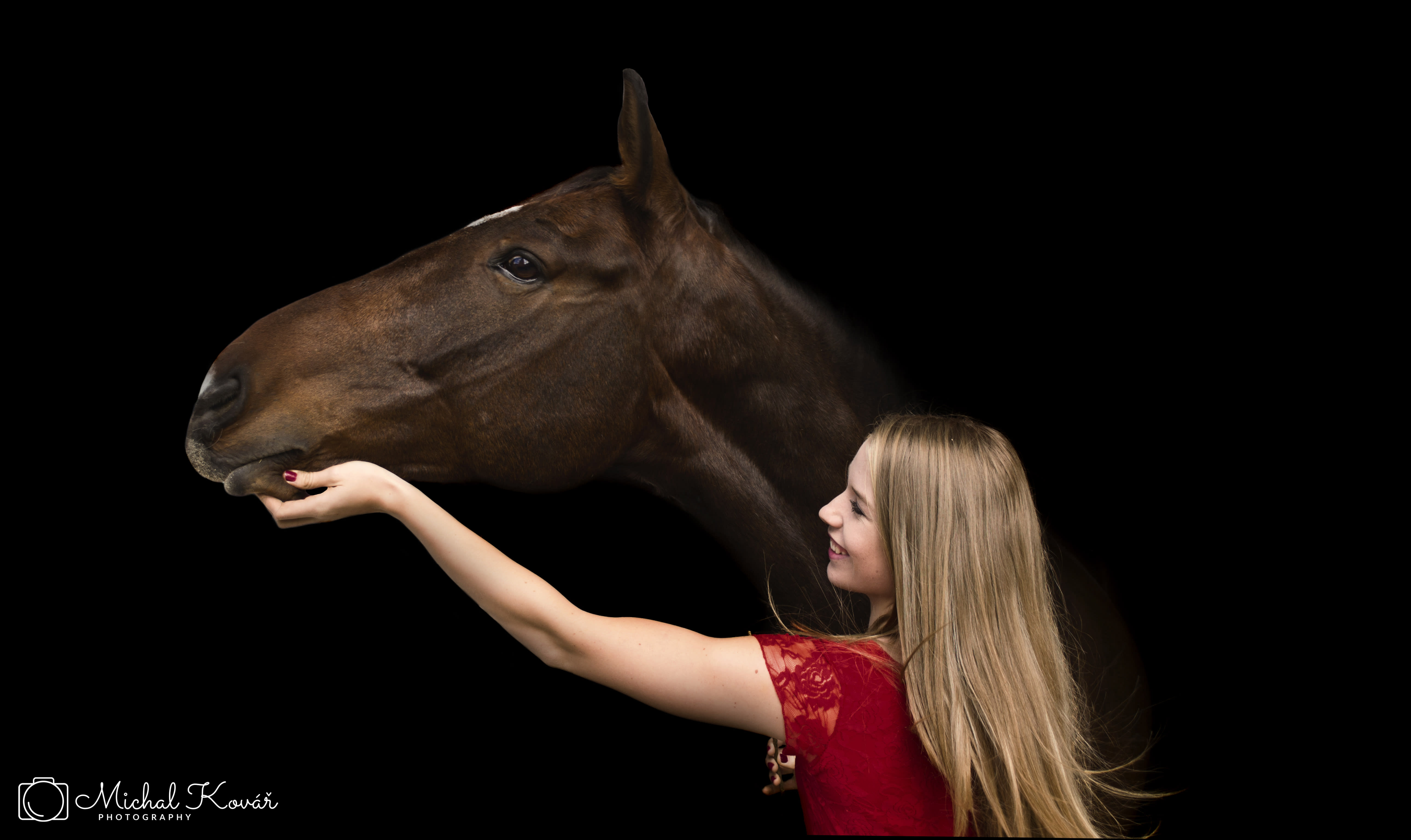 Professionally edit equine, equestrian horse photos by Michousek | Fiverr