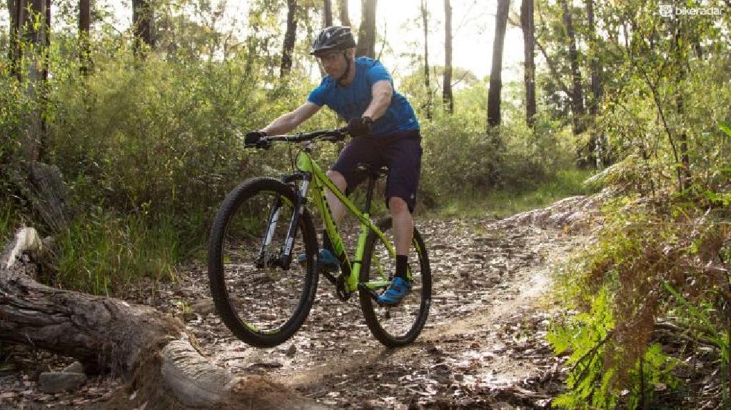 learn mountain biking