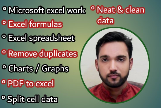 Help In Microsoft Excel Formula Spreadsheet Pdf To Excel By Faizan 111 Fiverr