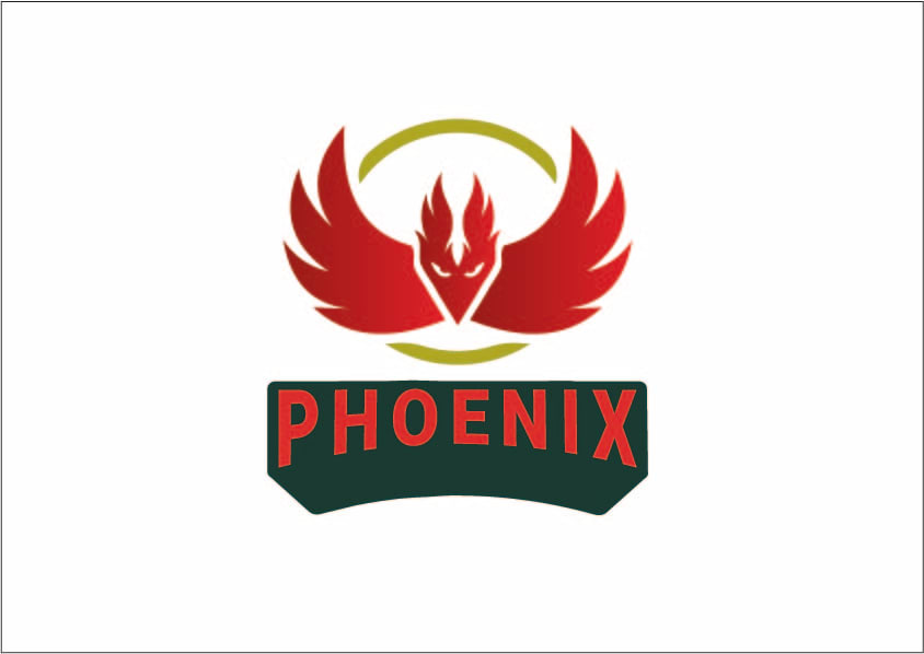 Design Modern Professional Logo And I Montage And Animate Videos With Effects By Tahermk