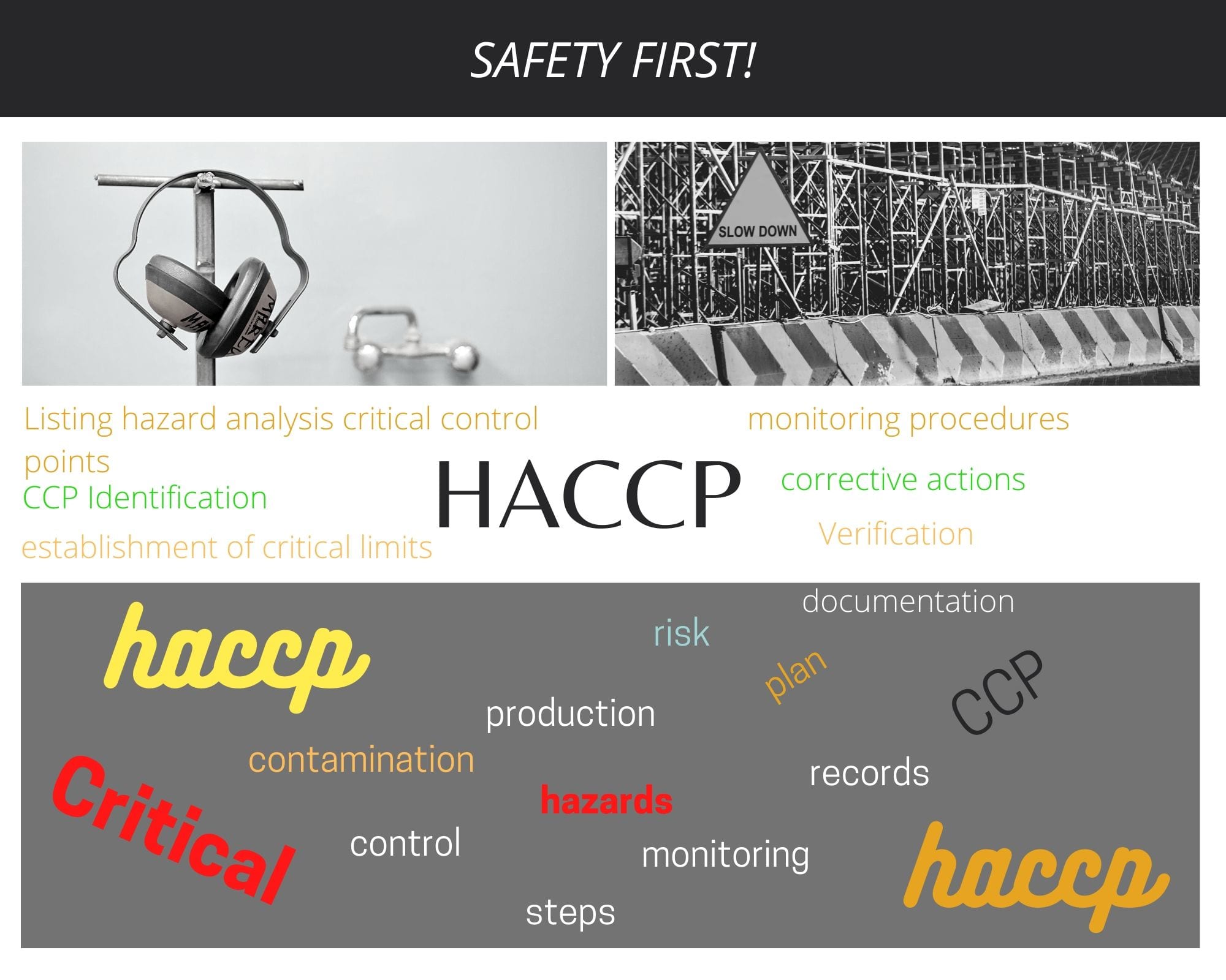 Offer consultation on food safety and create haccp plans by