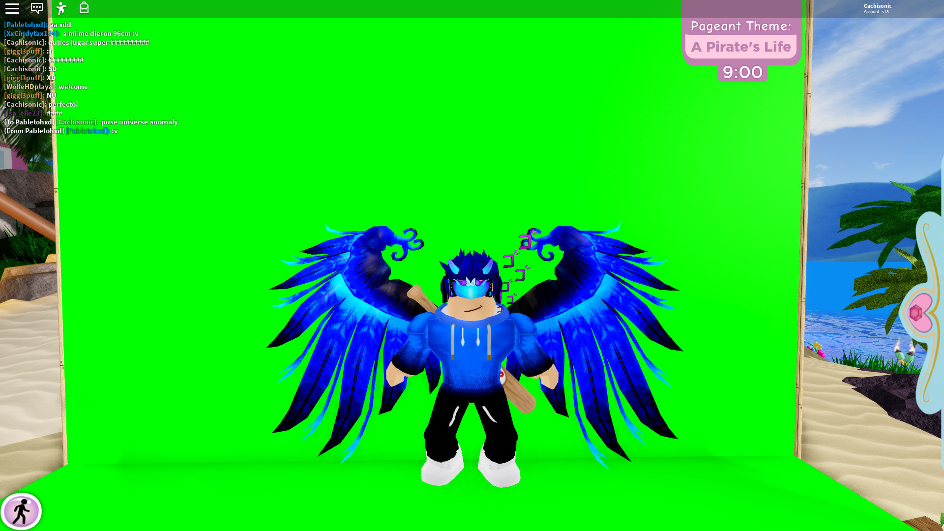 L Can Train You In Roblox By Cachisonic Fiverr - sonic ultimate rpg roblox