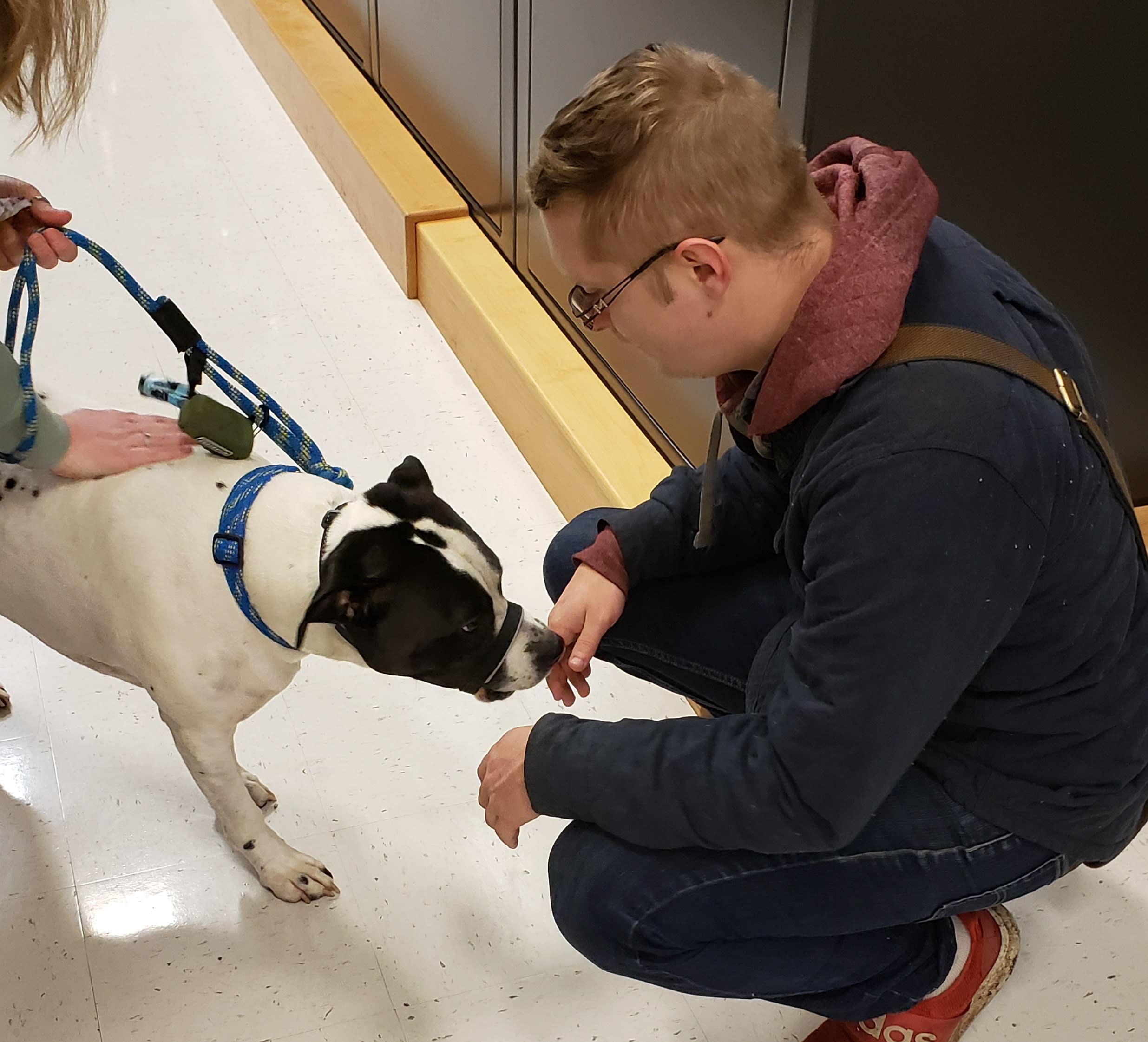 one on one dog training