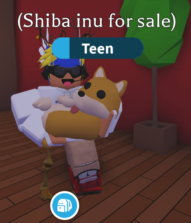 Adopt Me Roblox Shiba Inu By Gelop2009