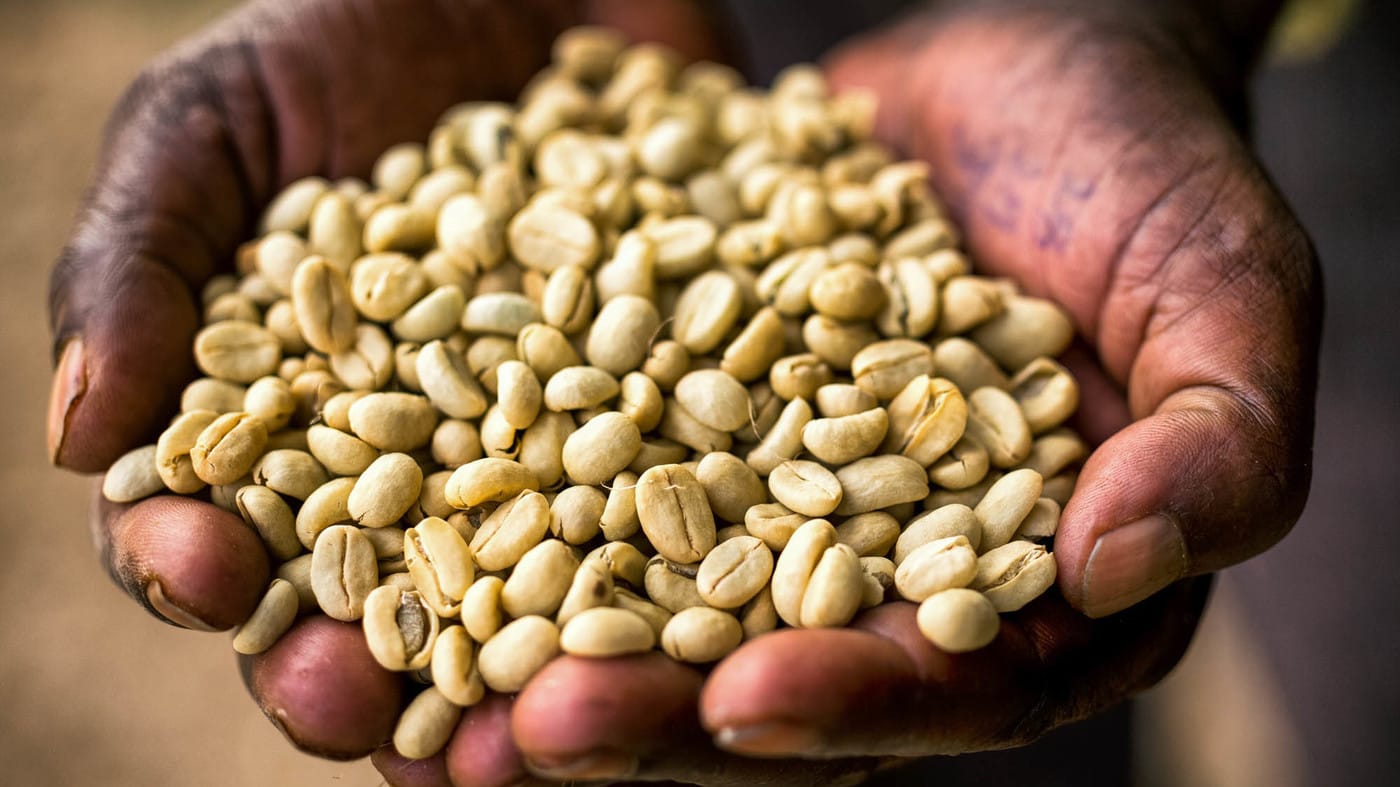 ethiopian coffee beans