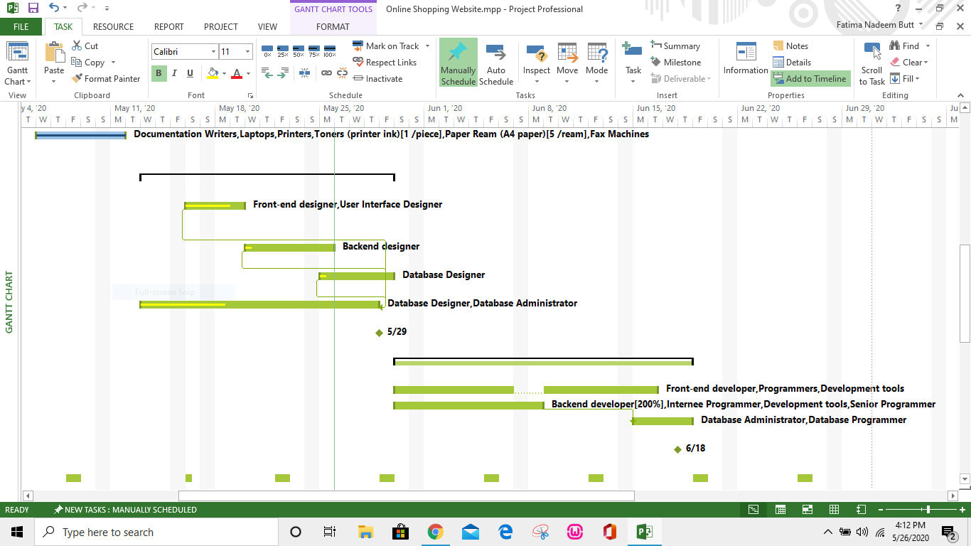Create project plan and gantt chart in project | Fiverr