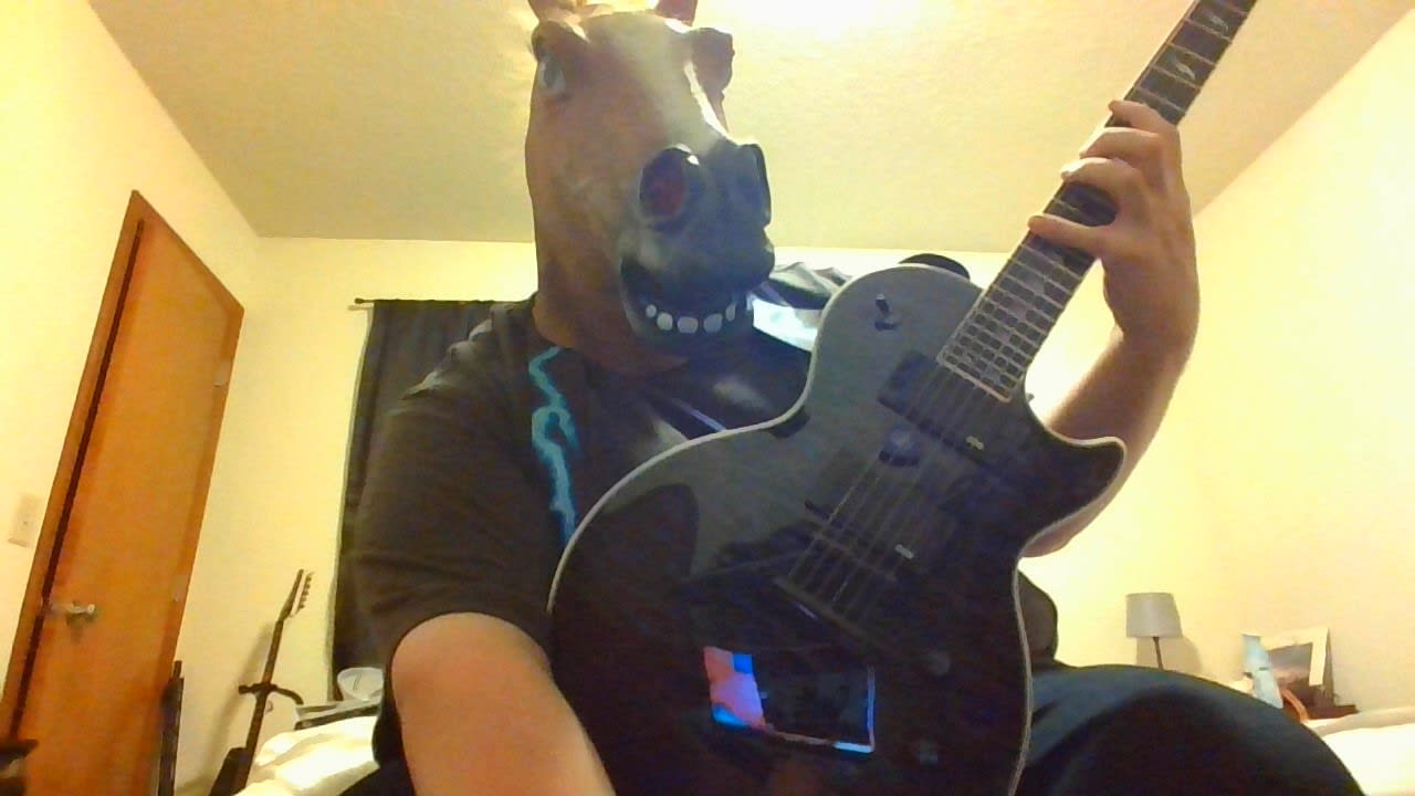 horse head guitar