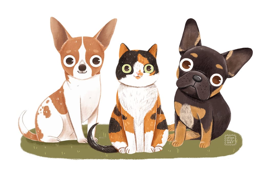 Draw a custom portrait illustration of your pet, cat, dog by Oftennice |  Fiverr