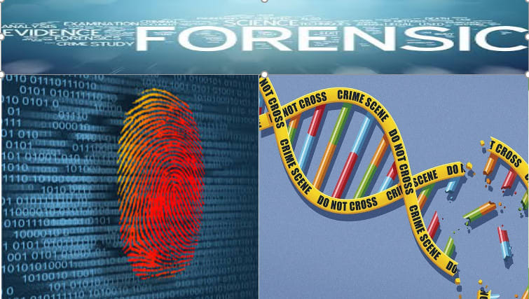 Show excellence in forensics, molecular biology and genetics by Nailaayoub  | Fiverr