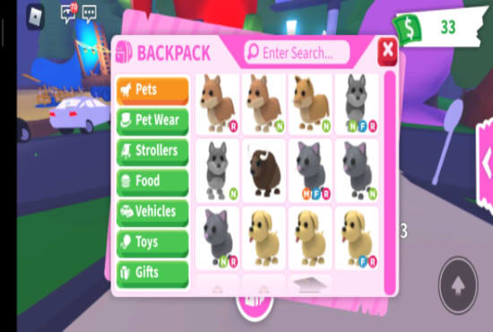 Give You 5 Or 6 Pets Roblox Adopt Me By Biworox