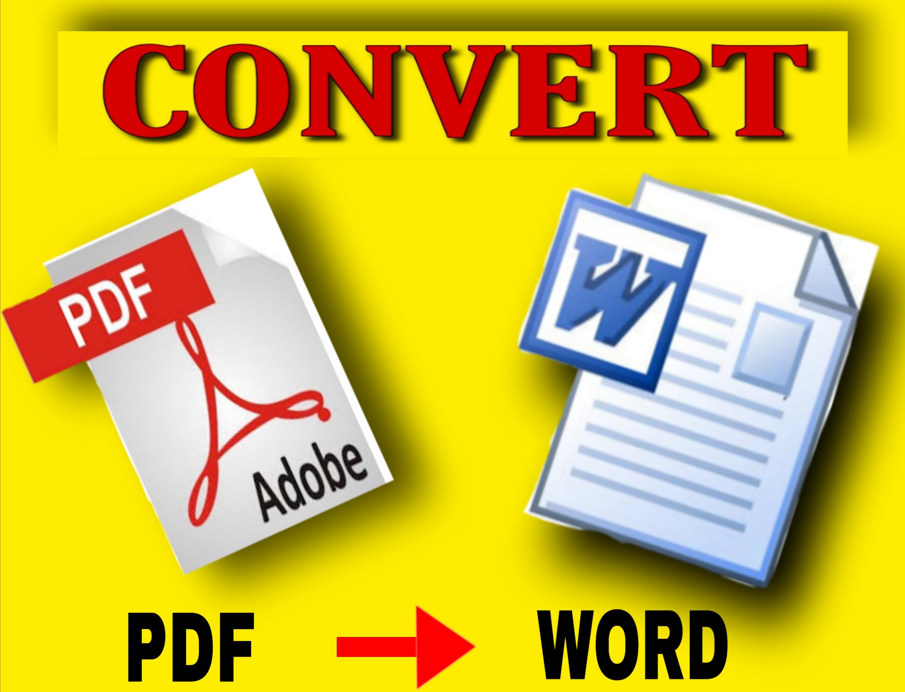 Convert Pdf To Word Jpg To Docx By Qualityno1 Fiverr