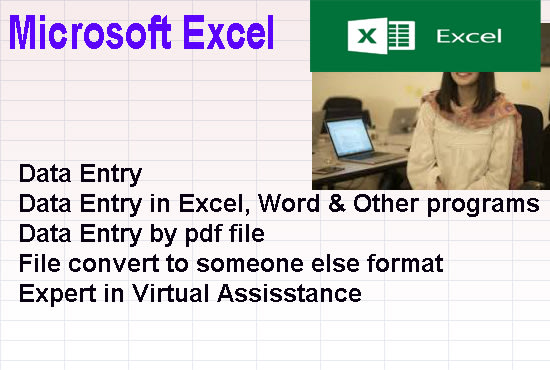 Data Entry In Microsoft Excel Spreadsheet N Copy Past In 24hrs By Datacomputer Fiverr