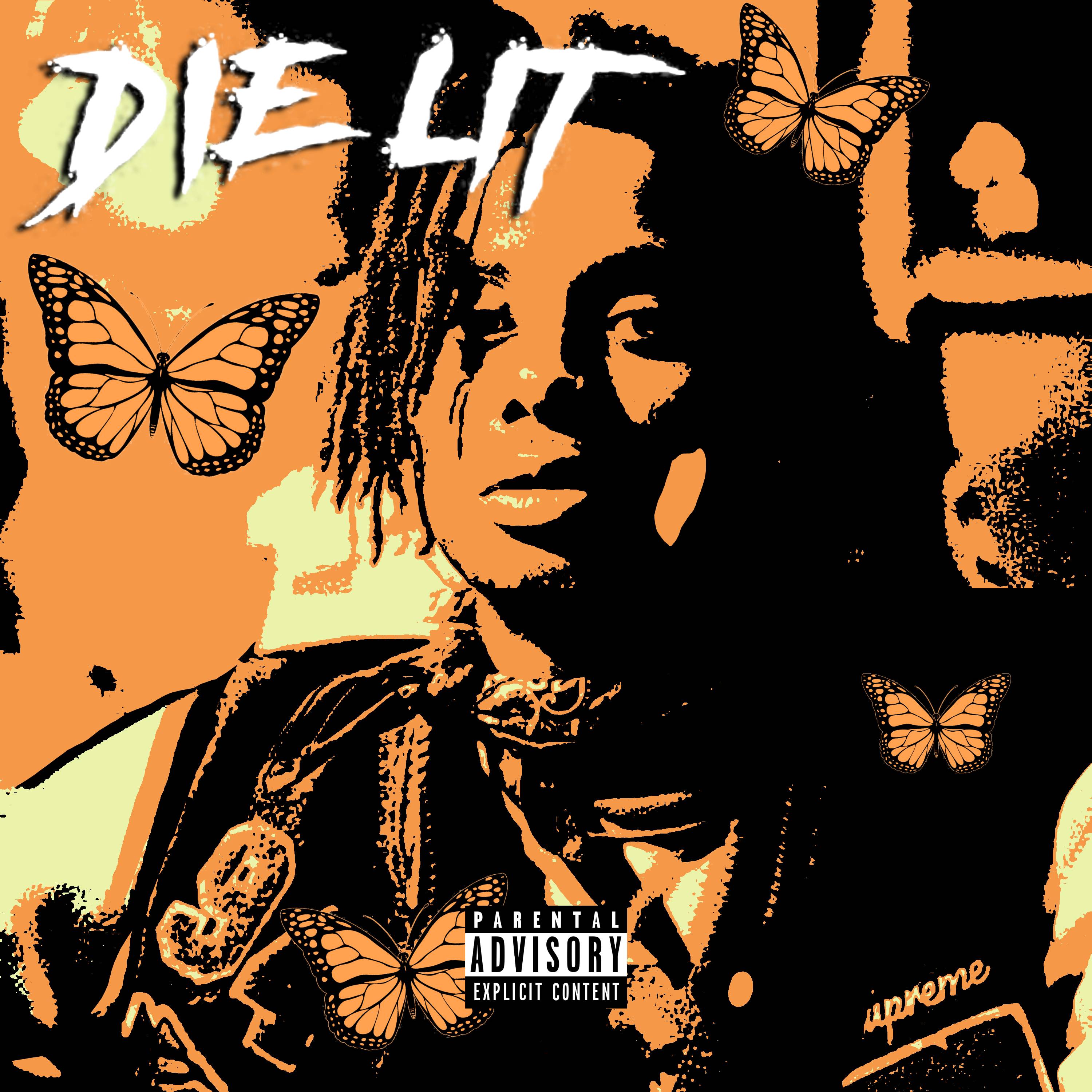 Carti Custom Album Cover Make An Aesthetic Album Cover With