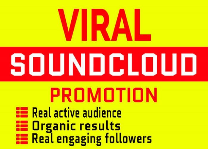 Repost And Promote Your Soundcloud Track To 1 Million Real Followers By Christi Roberts Fiverr