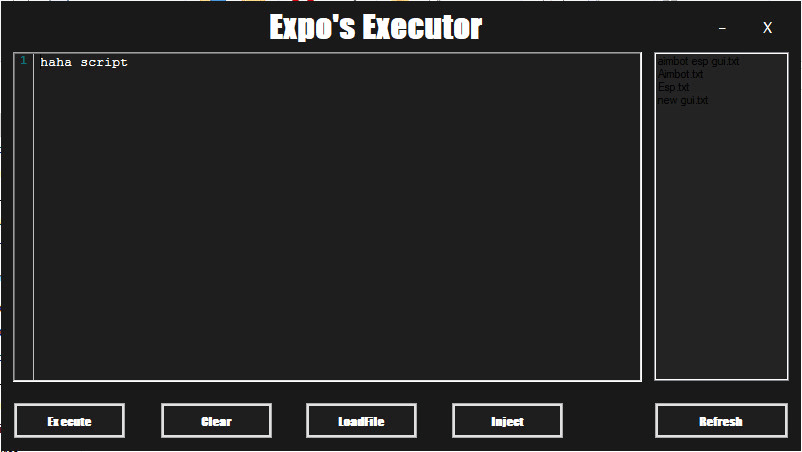 Make You Your Own Roblox Script Executor By Expo Xr Fiverr - best roblox script executor reddit