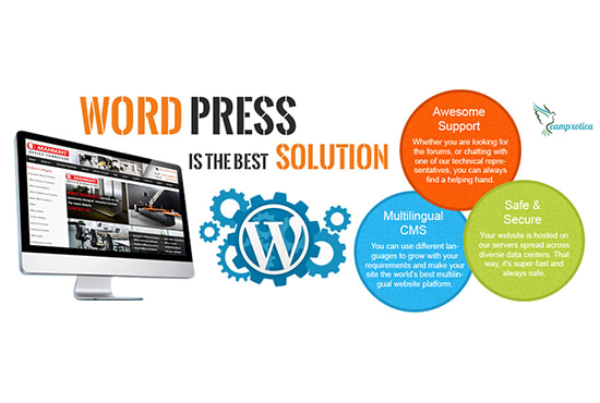 Do Wordpress Development For Any Type Of Website By Campxotica