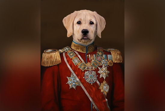 Create custom royal pet portrait renaissance high quality by John_david2 |  Fiverr