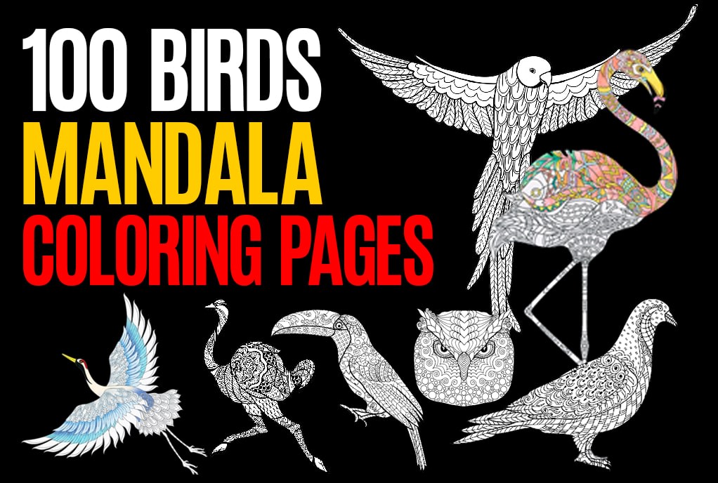 Give You 25 Printable Bird Coloring Pages For Adult By Aminemouatik