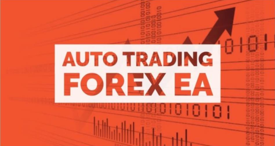 robot trading forex automated mindestbetrag in bitcoin investieren