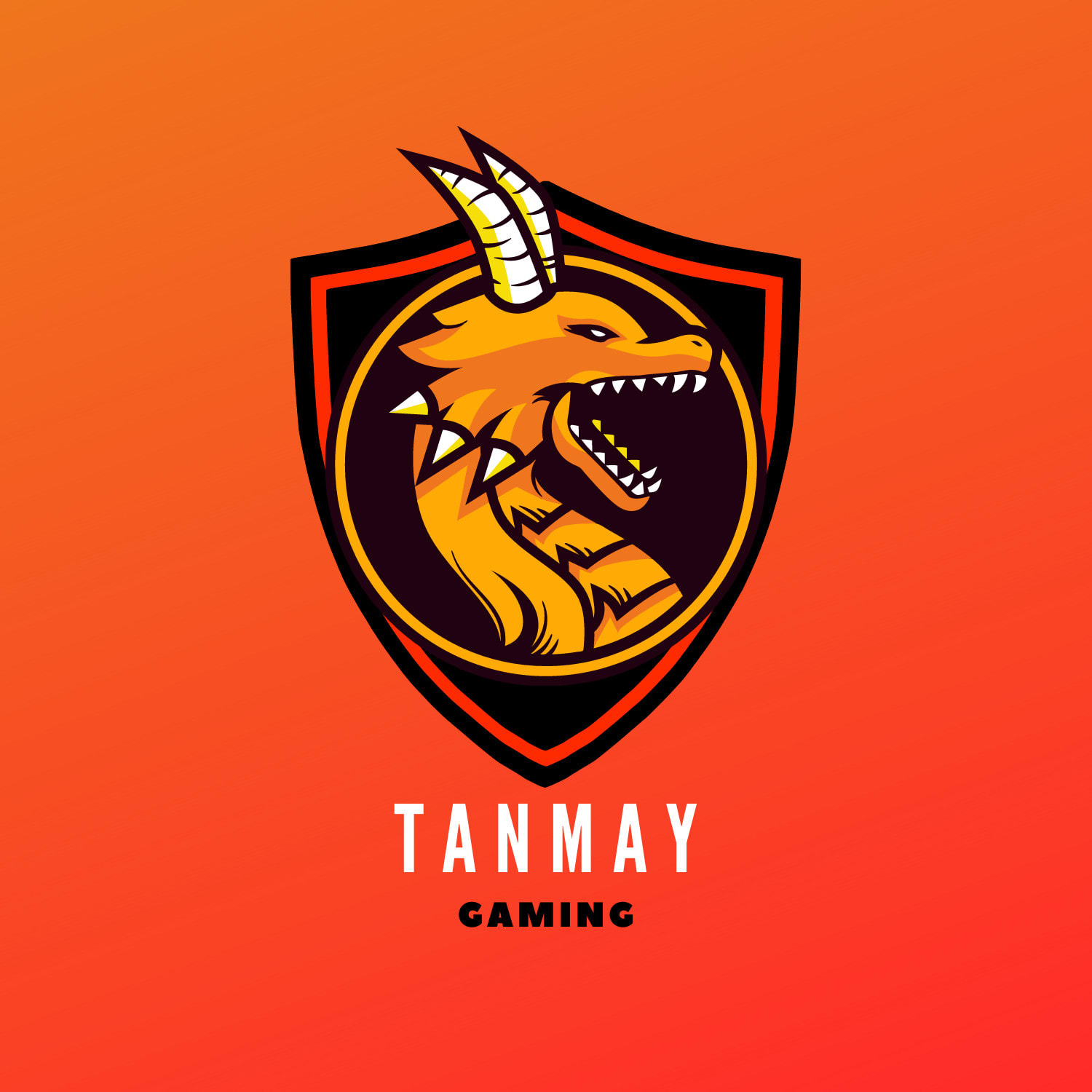 Tanmay | Logo Designer & Icon Designer | Dribbble | Logo design, Bird logo  design, Design