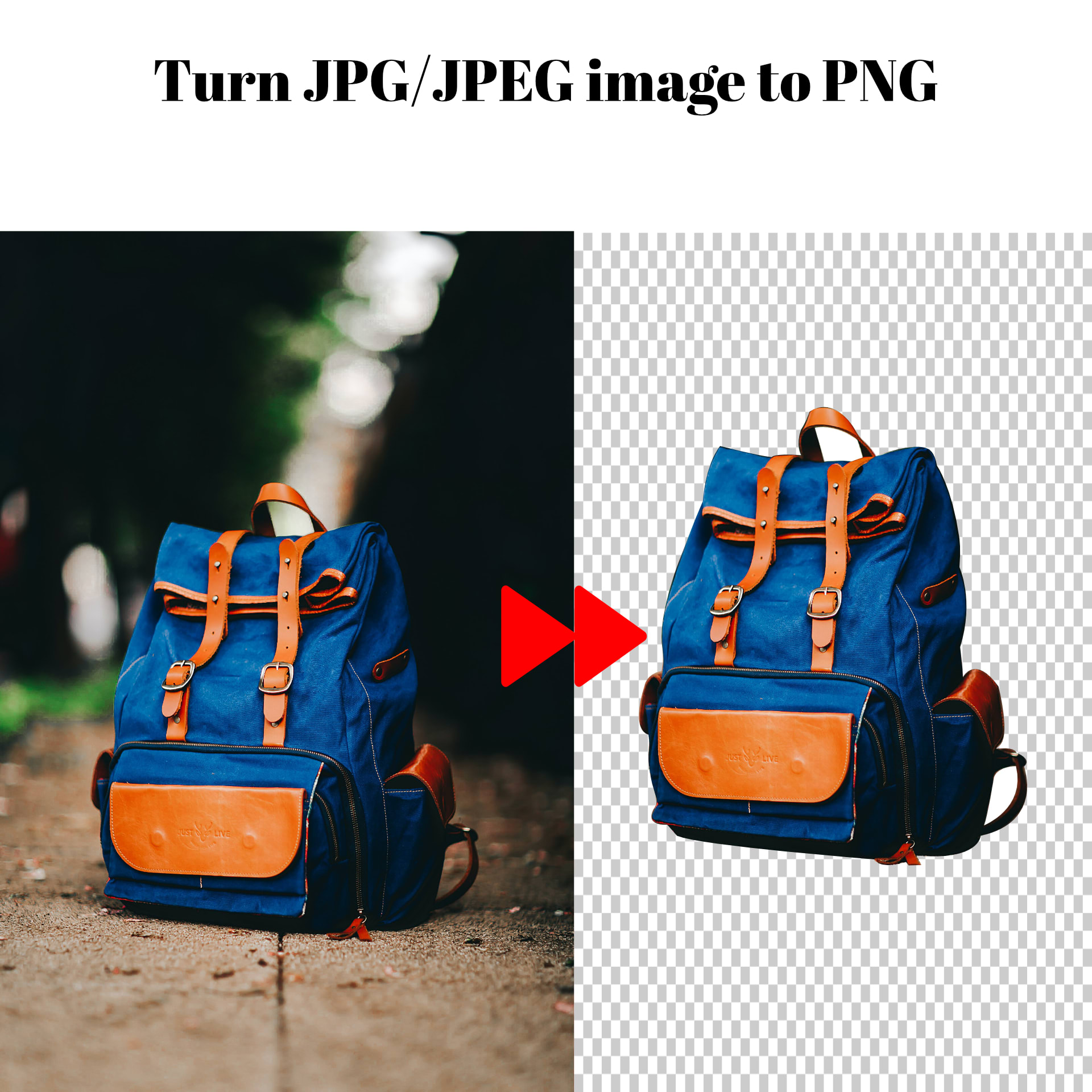 Turn Your 10 To 70 Jpg Or Jpeg Images Into Png Images By Riswanratta Fiverr