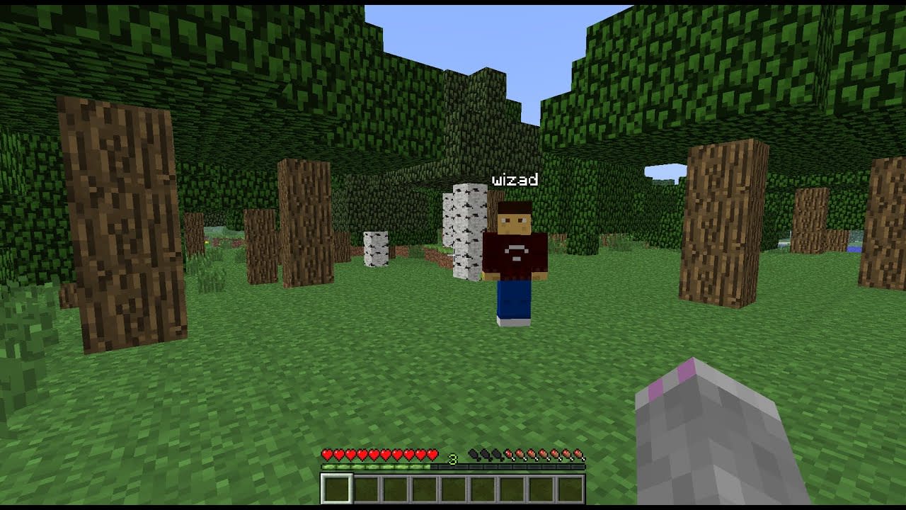 Play minecraft online