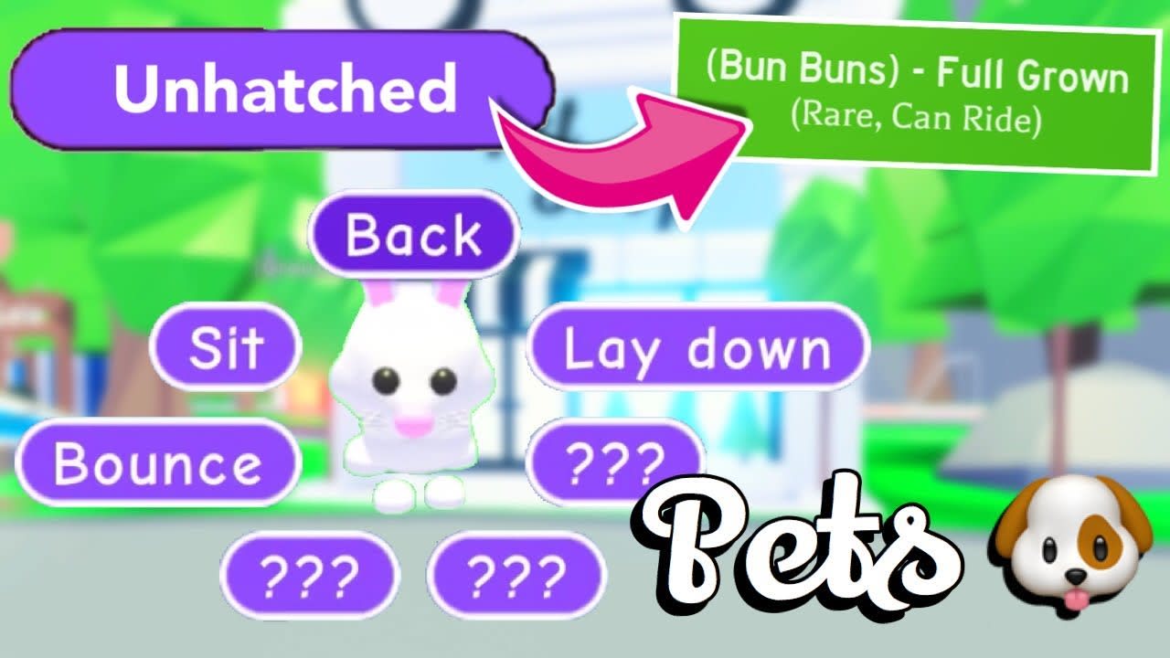 Age Up Your Pet In Adopt Me Roblox By Mugi Kim - bounce roblox