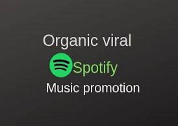 do spotify promotion or spotify music promotion to organic people by evagregory fiverr