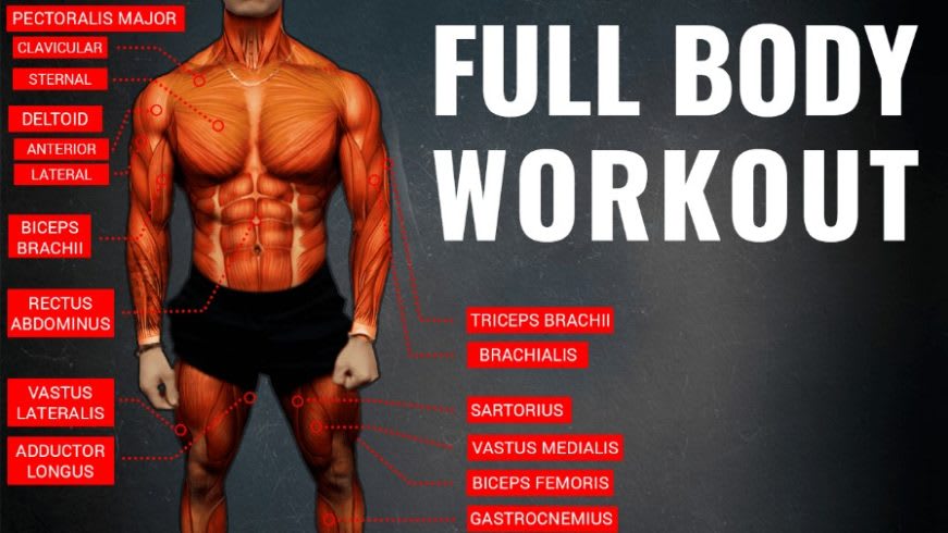 Personalised home online workout plan