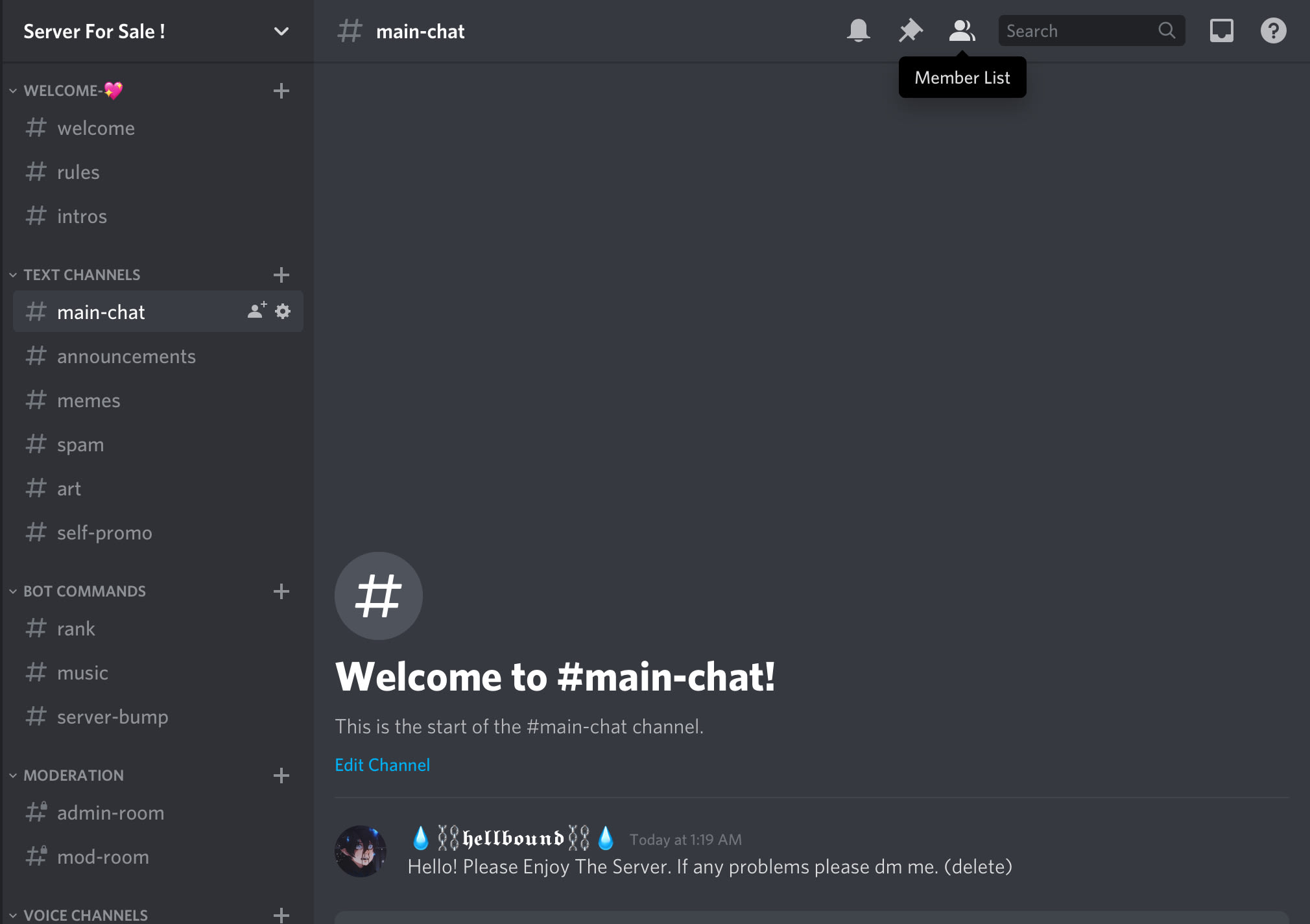 Give You A Basic Discord Server With Roles Bots Channels By Discordfrenzy Fiverr