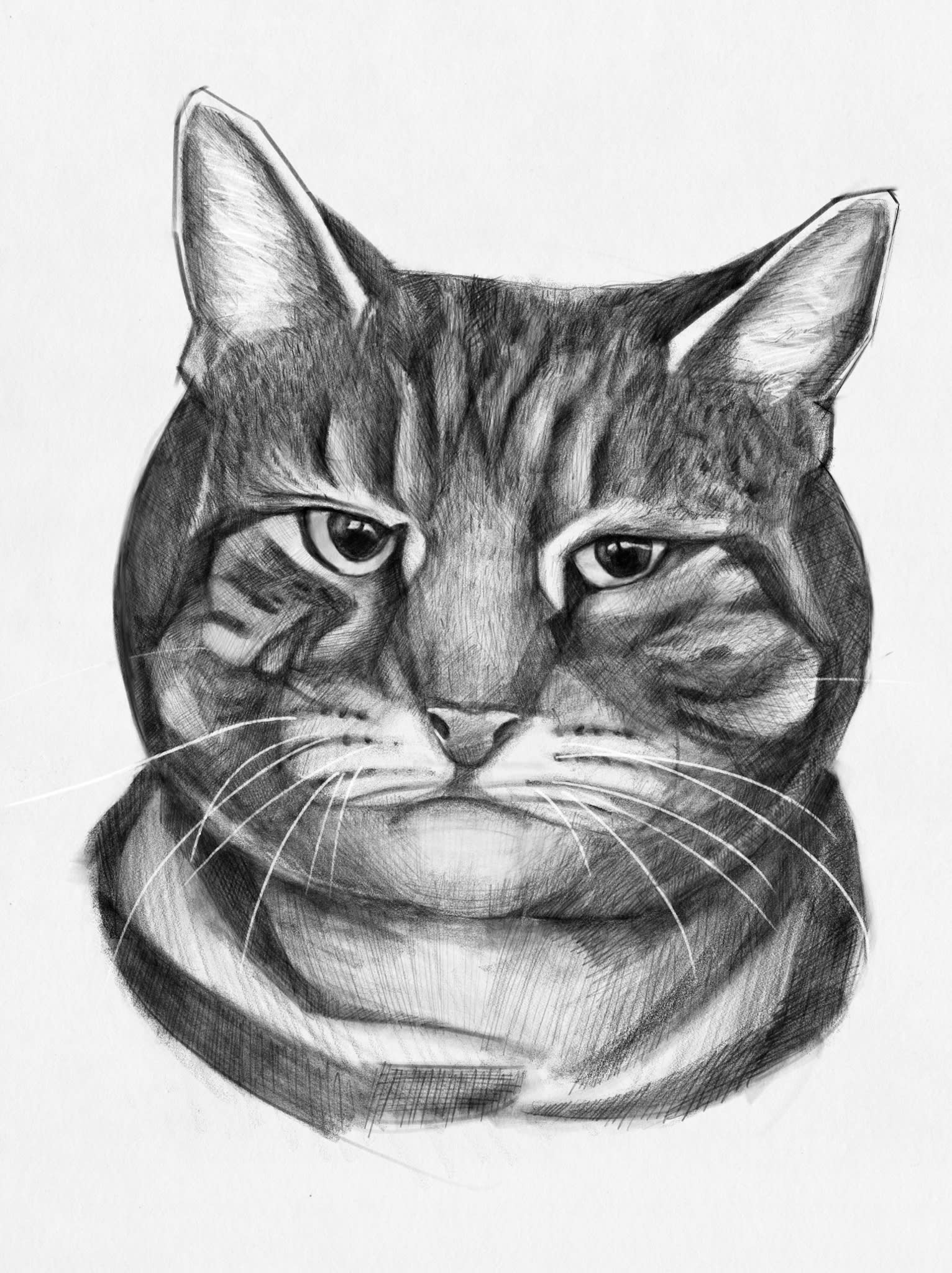 Do realistic pet portrait drawing with pencil by Harshpathak999 | Fiverr