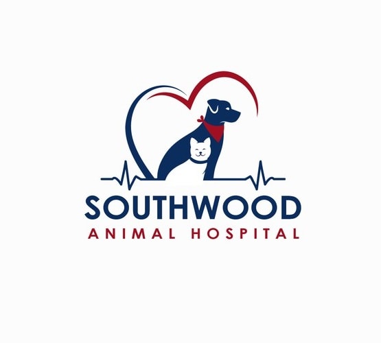 Design awesome animal hospital logo by Annalee_annale | Fiverr