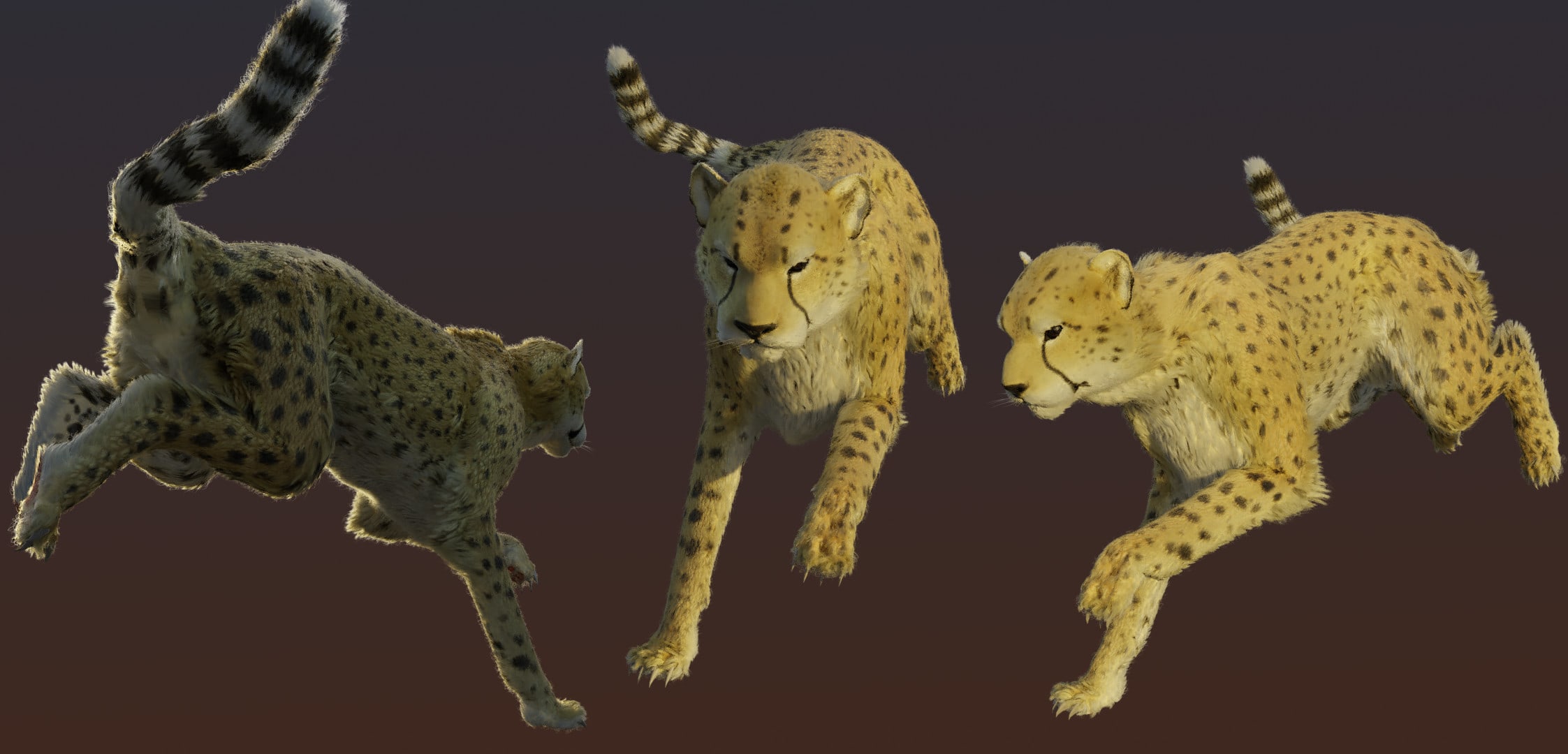 Top 147 + Realistic animal 3d model