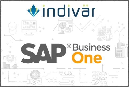 sap business one consultant