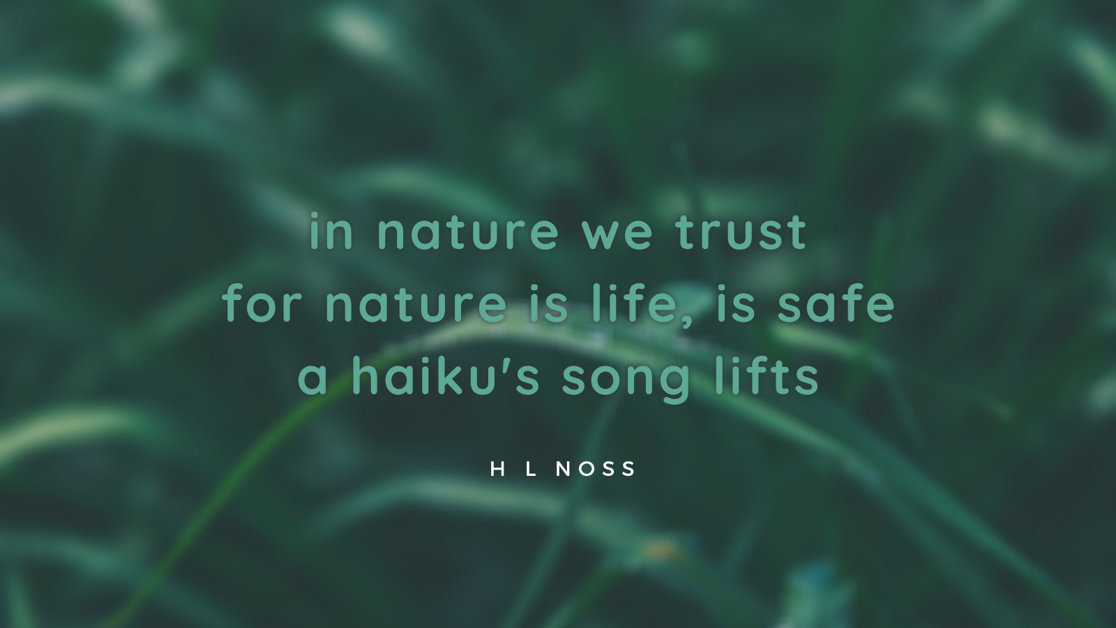 Write a haiku about nature for you by Hlnoss  Fiverr